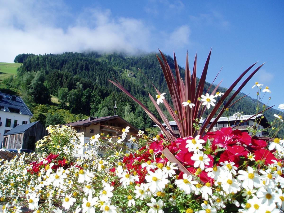 Am Zwoelferkogel Appartements Saalbach-Hinterglemm Exterior foto